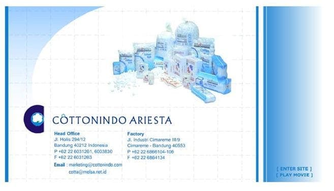 Cottonindo Ariesta